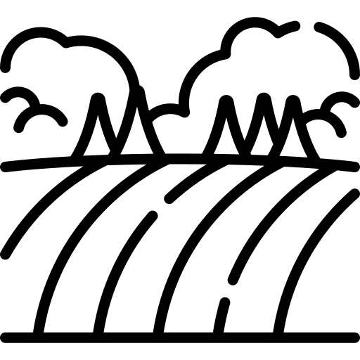 Grassland Mowing Services